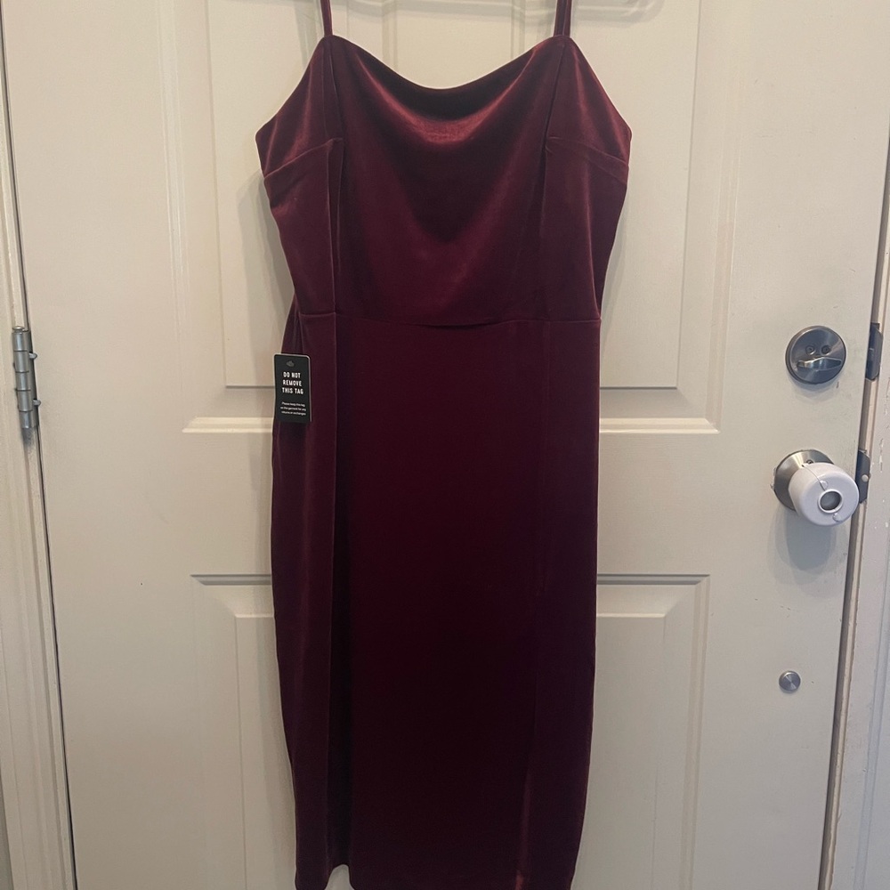 Express Velvet Dress